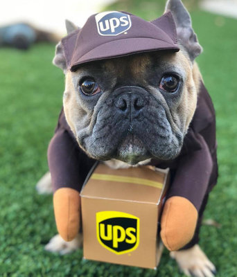 Role-playing pet costumes, UPS courier series, comfortable to wear, with personality