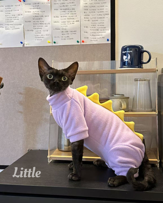 PET CLOTHES