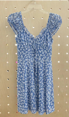 Blue Printed Mesh Knit Dress