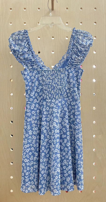 Blue Printed Mesh Knit Dress