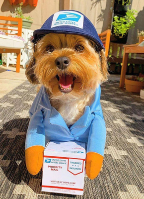 Role-playing pet costumes, UPS courier series, comfortable to wear, with personality