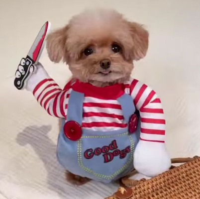 Role-playing pet costumes, UPS courier series, comfortable to wear, with personality