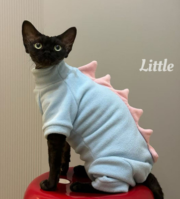 Unique PET CLOTHES for Your Special Event Customized by Our Skilled Team